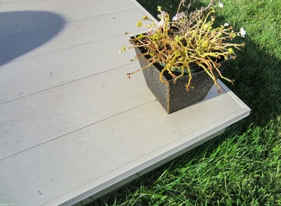 Potted plant on wooden deck