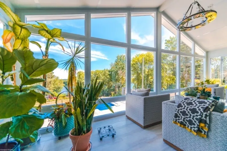 Modern interior featuring lush greenery